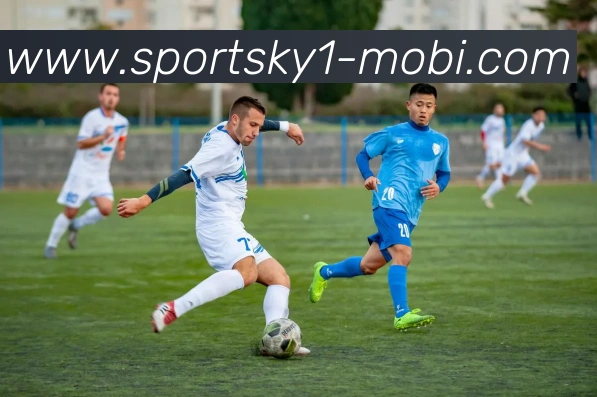 开云体育服务体系