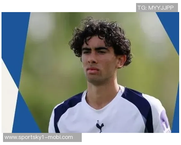 米兰计划租借并买断热刺后卫德勒古欣已展开接触